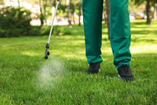 Best Flea Control Services  in Fobes Hill, WA