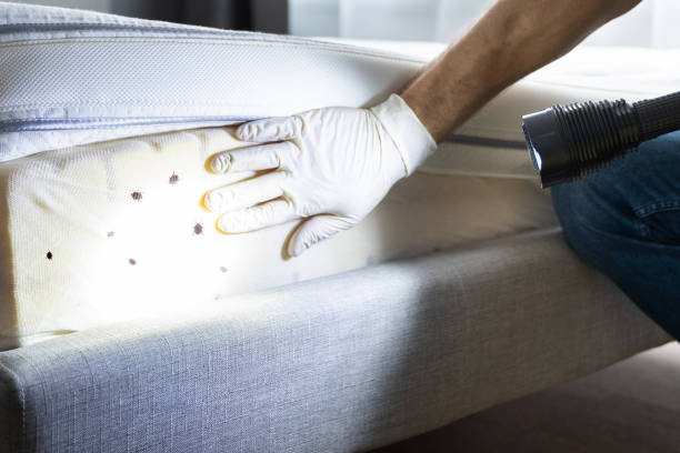 Best Commercial Pest Control Services  in Fobes Hill, WA